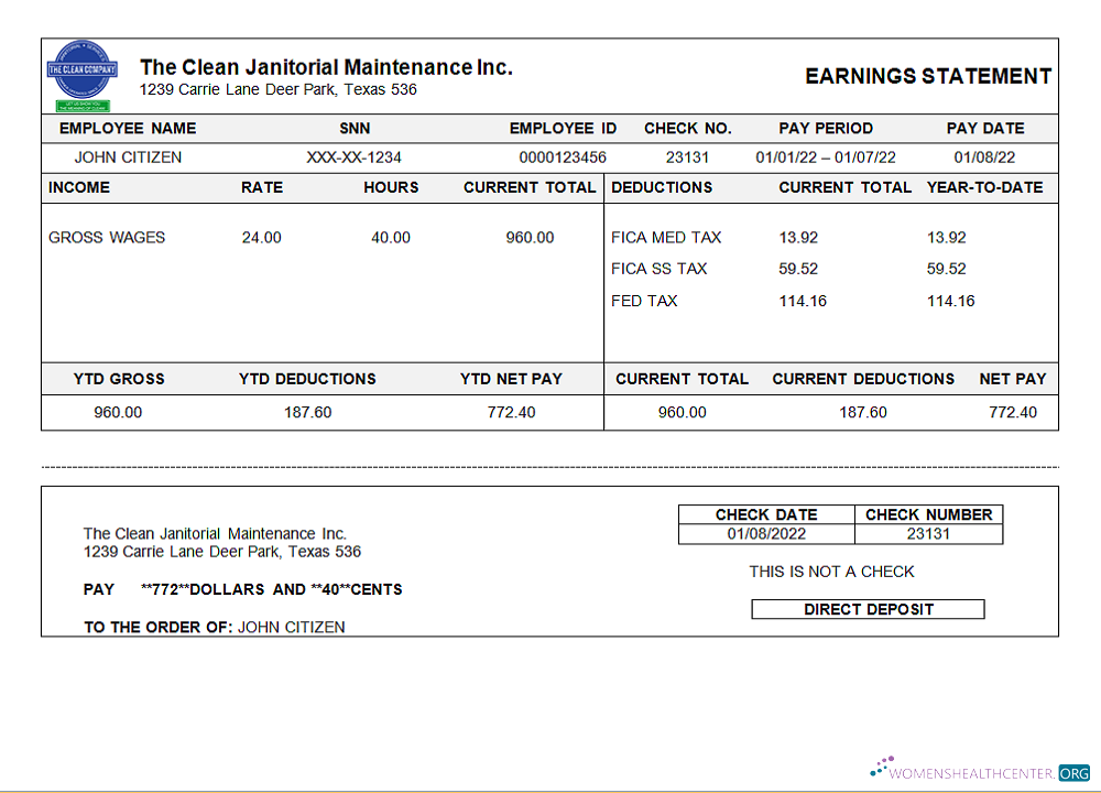 Download USA Texas commercial cleaning company earnings statement Photoshop template